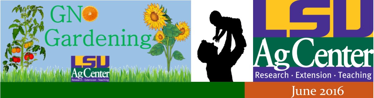 GNO Gardening June 2016 Newsletter